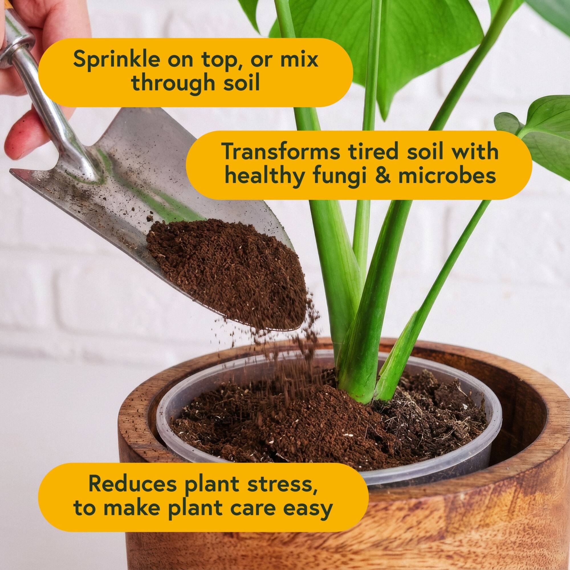 We The WIld™ 8.8oz. Enrich Powder Slow-Release Organic Soil Amendment & Plant Food for Houseplants